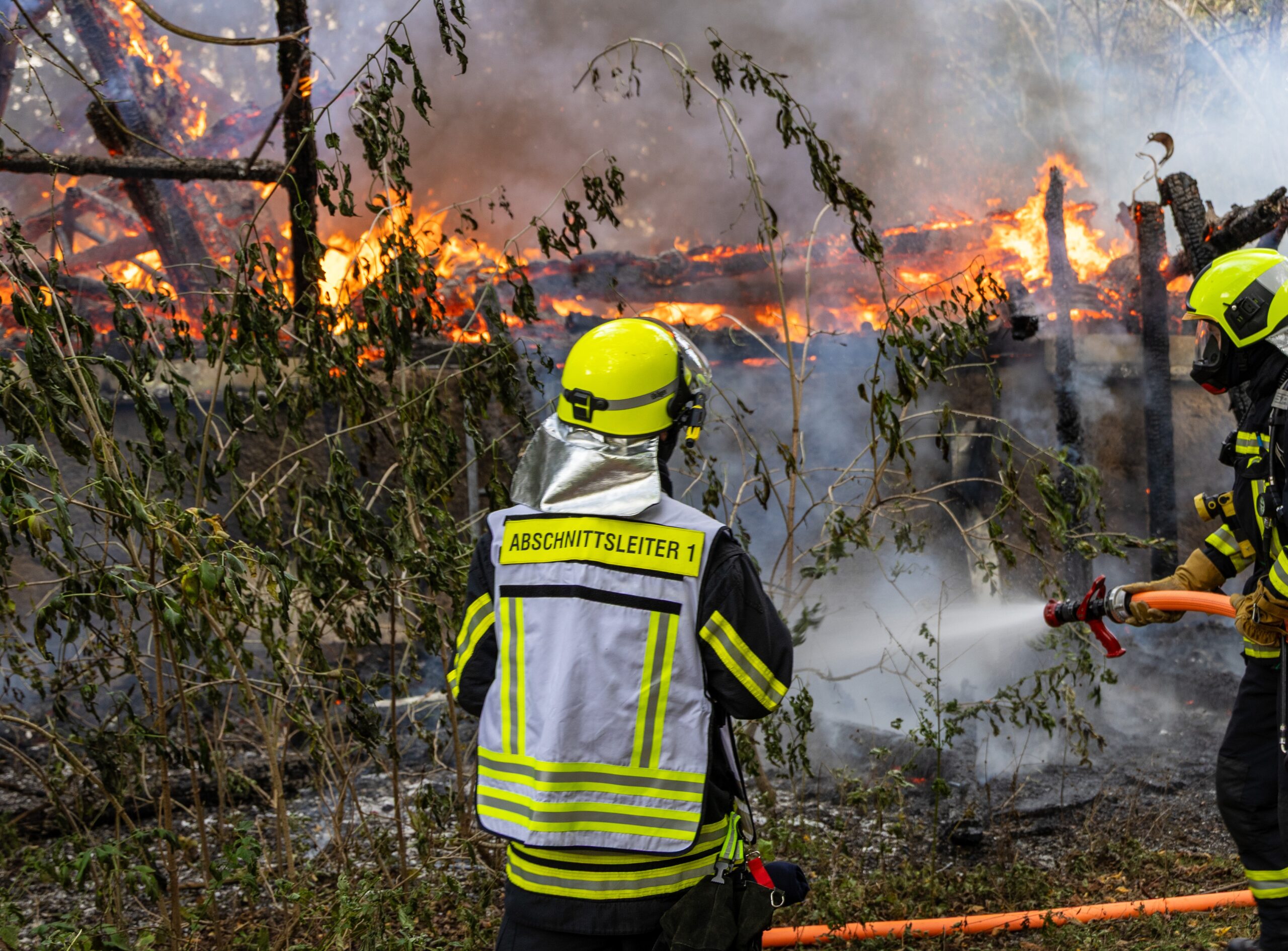 schneeberg: ehemaliges tierheim steht in vollbrand